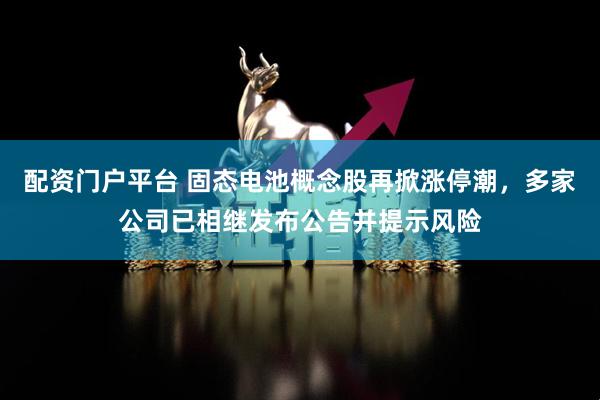 配资门户平台 固态电池概念股再掀涨停潮，多家公司已相继发布公告并提示风险